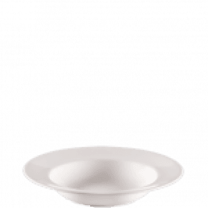 POLARIS SOUP PLATE 22.5CM