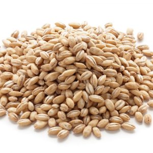 LION BARLEY PEARL 500GR