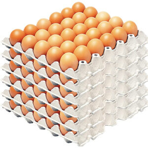 EGGS MEDIUM 15 DOZEN (180)